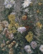 Gustave Caillebotte White and yellow chrysanthemum Spain oil painting reproduction